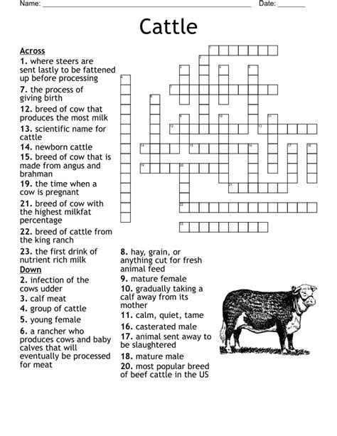 The Crossword Solver finds answers to classic crosswords and cryptic crossword puzzles. . Feed for livestock crossword clue